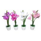 Ghiveci plastic cu flori crini 407-13