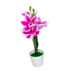 Ghiveci plastic cu flori crini 407-13 (2)