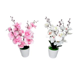 GHIVECI PLASTIC CU FLORI ORHIDEE 133-1