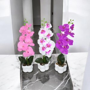 GHIVECI PLASTIC CU FLORI ORHIDEE 407-14